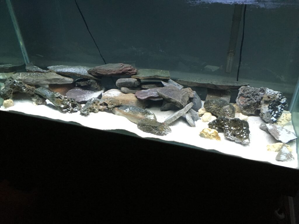 Sandy Fish Tanks